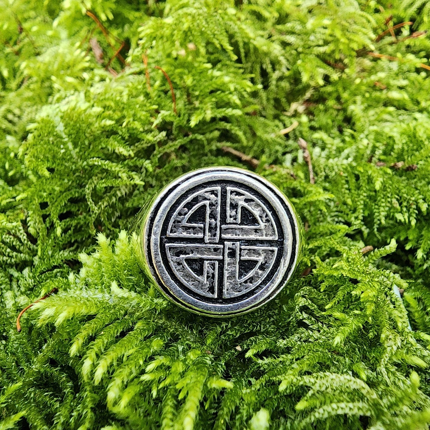 Shield Knot Sterling Silver Signet Ring